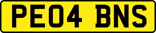 PE04BNS