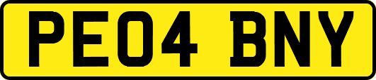 PE04BNY