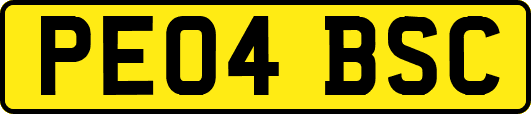 PE04BSC