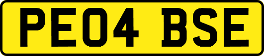 PE04BSE