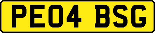 PE04BSG