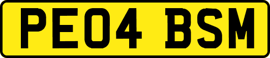 PE04BSM