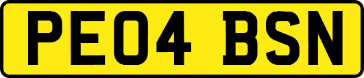 PE04BSN