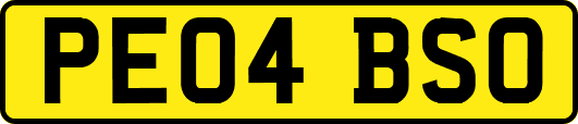 PE04BSO