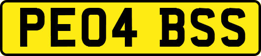 PE04BSS
