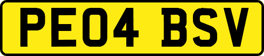 PE04BSV