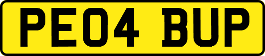 PE04BUP