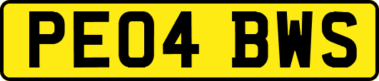 PE04BWS
