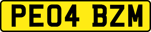 PE04BZM