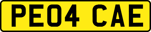 PE04CAE