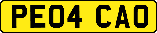 PE04CAO