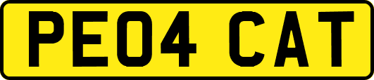 PE04CAT