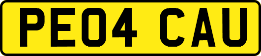 PE04CAU