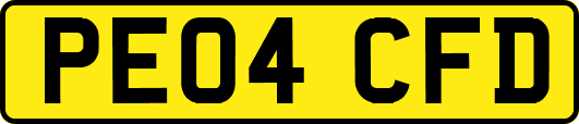PE04CFD