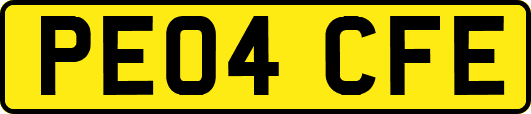 PE04CFE