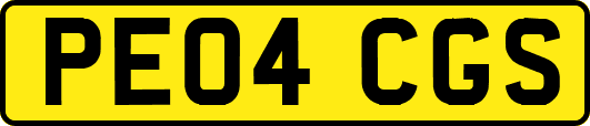 PE04CGS