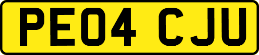 PE04CJU