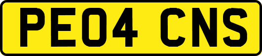 PE04CNS