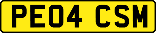 PE04CSM