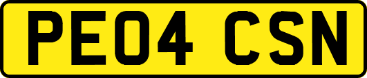 PE04CSN