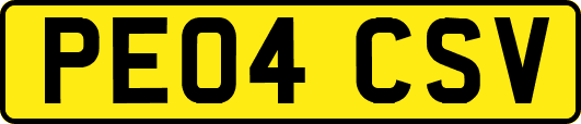 PE04CSV