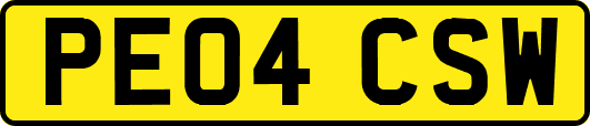 PE04CSW