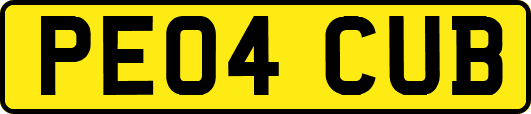 PE04CUB