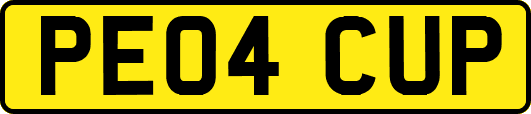 PE04CUP