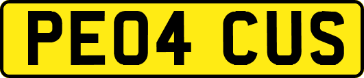 PE04CUS