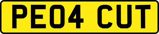 PE04CUT