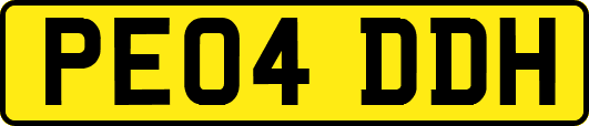 PE04DDH