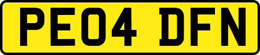 PE04DFN