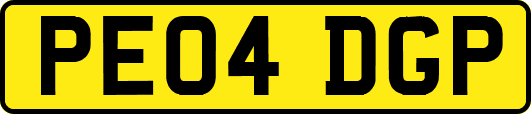 PE04DGP