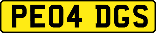 PE04DGS