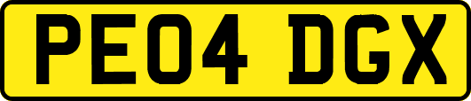 PE04DGX