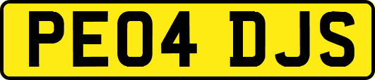 PE04DJS