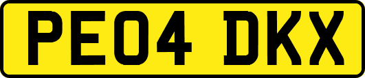 PE04DKX