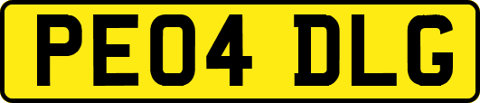 PE04DLG