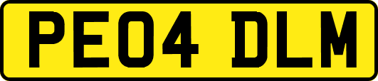 PE04DLM