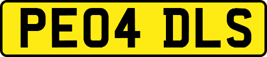 PE04DLS