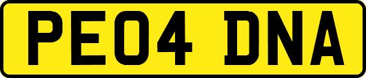 PE04DNA
