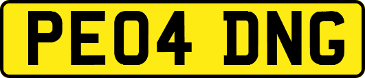 PE04DNG