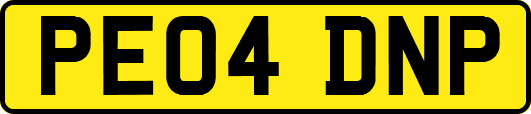 PE04DNP