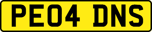 PE04DNS