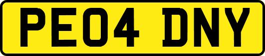 PE04DNY