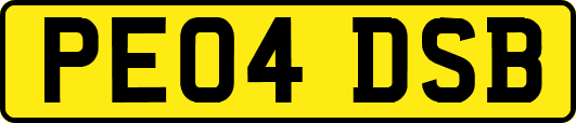 PE04DSB