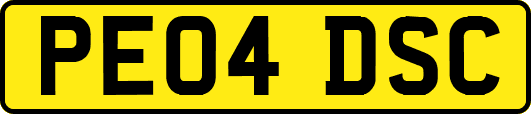 PE04DSC