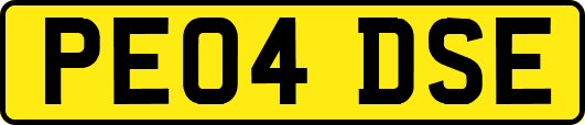 PE04DSE