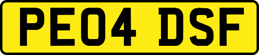 PE04DSF