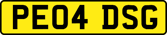 PE04DSG